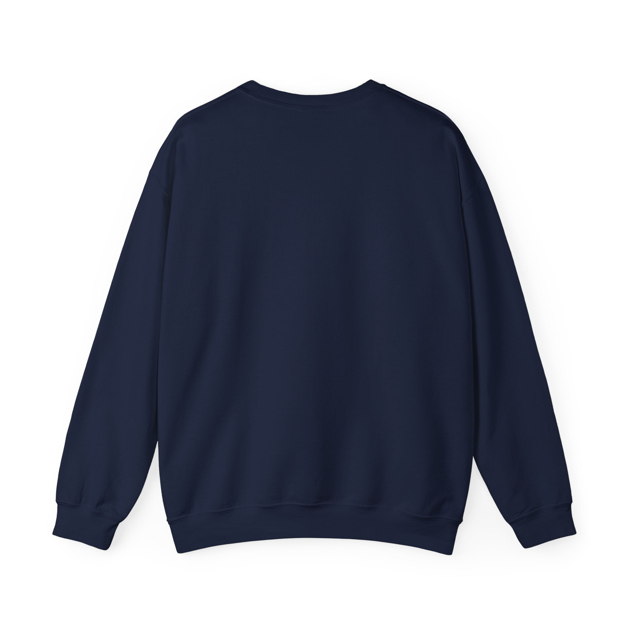 Heavyweight 2025 College Crewneck Sweatshirt in Navy